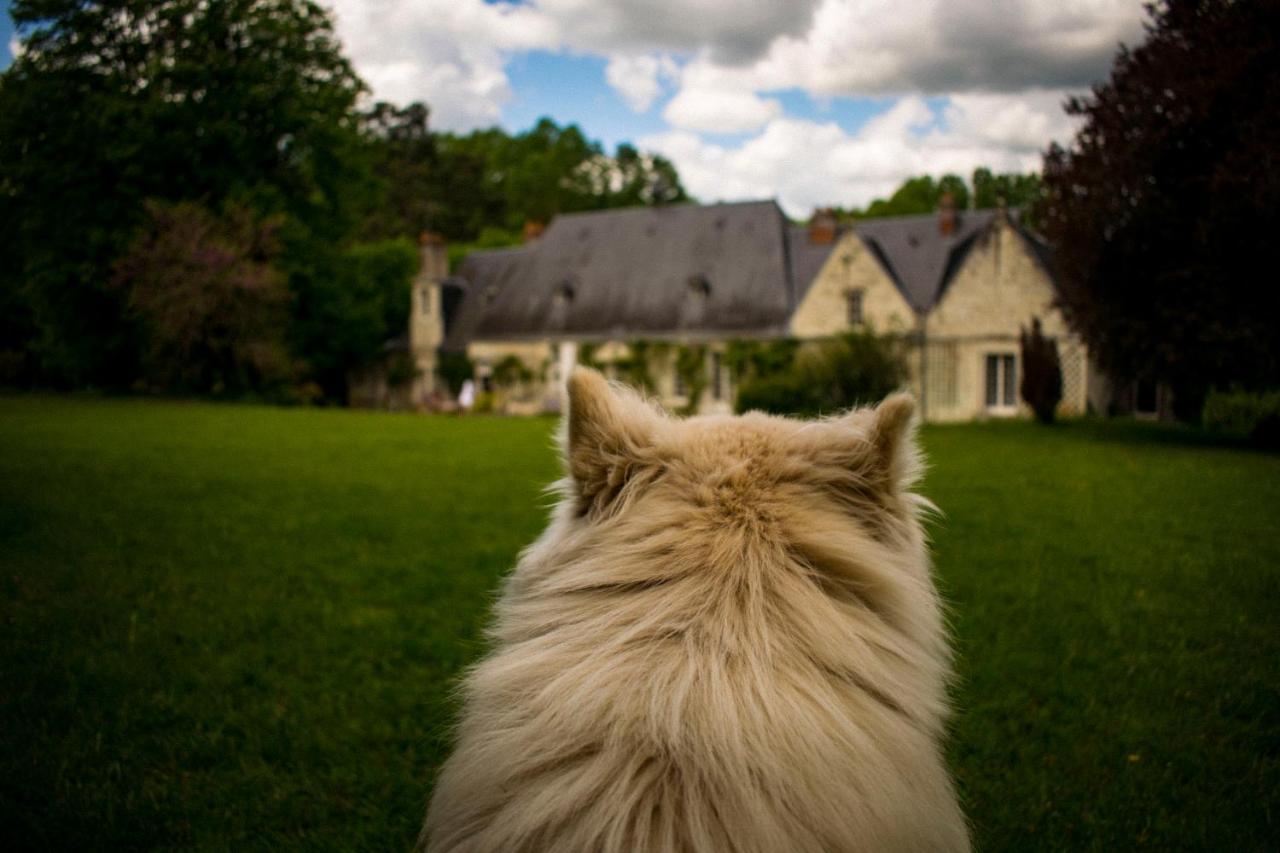 Bed & Breakfast - La Closerie De La Fuye Ballan-Miré Exteriör bild